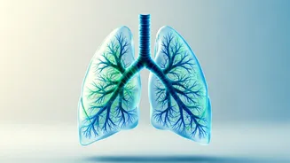 Unlock Deeper Breaths: Natural Pranayama for Enhanced Lung Health & Calm