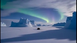 Antarctica Stories Have Entered Youth Climate Content