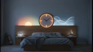 Research Puts Routine At The Centre Of Modern Sleep Health