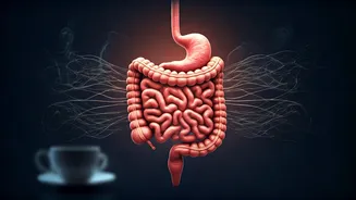 Gut Health Under Siege: Everyday Habits That Are Secretly Harming Your Digestion