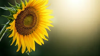 5 Essential Strategies for Navigating Heartbreak and Accelerating Your Healing Journey