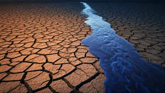 Fashion's Thirsty Secret: Unpacking the Industry's Overlooked Water Crisis