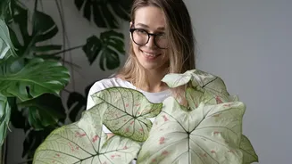 New Research Separates Indoor Plant Facts From Popular Myths