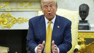 Quiet Diplomatic Shake-Up: Why Is Trump Calling Back US Ambassadors From 29 Countries?