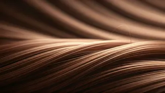 Dermatologist's Secrets: Combatting & Preventing Split Ends for Healthier Hair