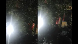 Petrol Bombs Hurled, Chaos Followed: Moment Shakib Al Hasan's House In B'desh Came Under Attack | Video