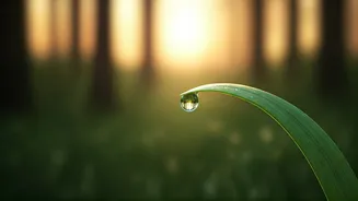 Unlock Your Day: 7 Power Affirmations for a Purposeful 5 AM Start