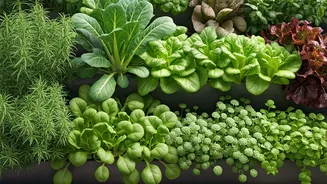 Tiny Homes Love This Practical Gardening Trend
