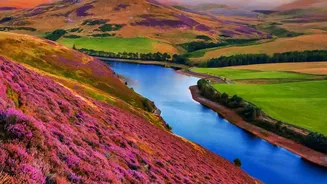 Neelakurinji Visitors Should Follow Forest Rules and Marked Viewing Routes