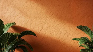 Ditch Traditional Wallpaper For Eco Friendly Terracotta Clay Wall Finishes