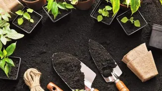 How to clean gardening tools effectively