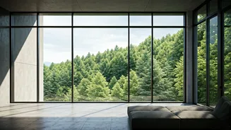 Modern Window Designs: Transforming Your Home's Look, Feel, and Functionality