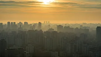 Delhi's Air Crisis: A Public Health Emergency