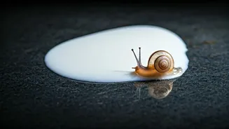 5 Ancient Beauty Secrets That Actually Worked: From Sheep Sweat to Snail Slime