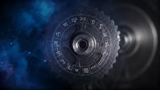 Career Insights: Week of Nov 9-15, 2025