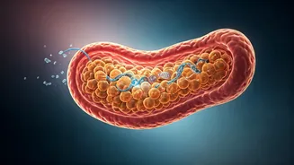 Insulin Resistance & High Blood Sugar: Understanding the Connection and Early Warning Signs