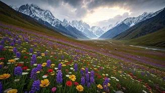 Flower Season Makes Himalayan Walking Look Dreamy