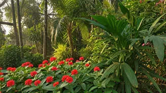 Kolkata's Winter Wonders: Kid-Friendly Destinations