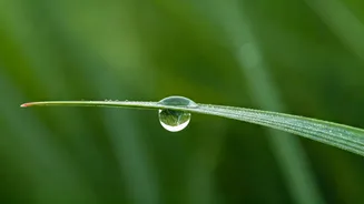 Breathwork Makes Mindfulness Feel Easier To Start