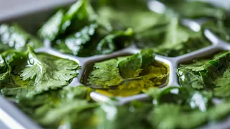 Save Your Dhaniya Pods With This Olive Oil Trick