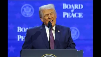 Trump Unveils Gaza ‘Board Of Peace’ At Davos, Warns Hamas Must Disarm: 'If They Don't...'