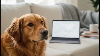 A Pet's Behaviour History Is Part of the Medical Information