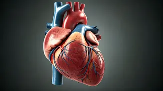 7 Ways to Combat Men's Unrelenting Fatigue