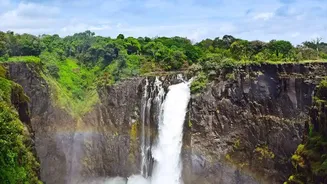 Maharashtra Waterfall Trips Gain Popularity As Green Landscapes Come Alive