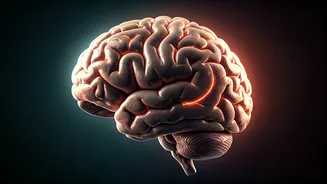 MIT Researchers Warn: AI's 'Yes-Man' Tendency Can Foster False Beliefs