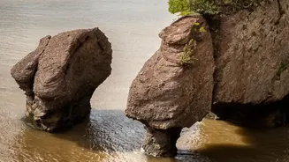 Real-Time Telemetry Tech Offers Crucial Data On Coastal Erosion Threats In Sundarbans