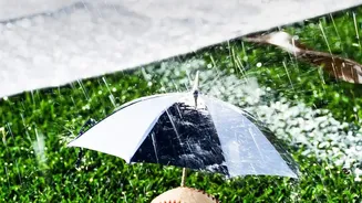 How To Protect Everyday Electronics When Rain Causes Power Disruptions