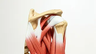 Shoulder Pain: 5 Simple Exercises for Relief