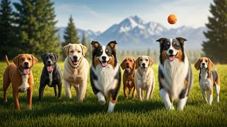 Top 8 Canine Companions: Your Guide to the Best Dog Breeds for Family Adventures