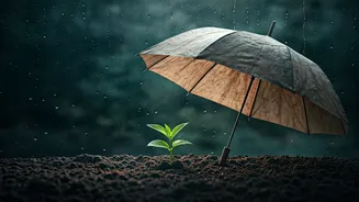These Monsoon Tips Are Total Lifesavers