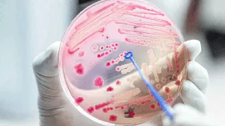 West Nile Fever warning in Kerala: Symptoms, spread and prevention tips explained