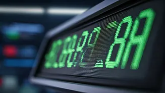 Indian Stocks: How to Handle Market Swings?