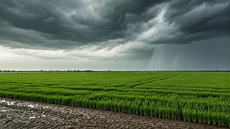 Central India Sees Rain Progress Despite Below-Normal Monsoon Warnings