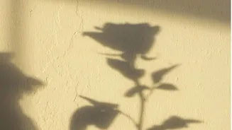 Add drama to your walls with monochrome art magic