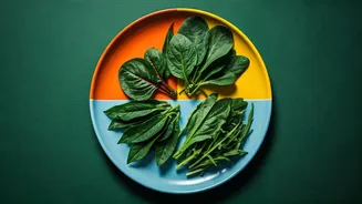 Pack Seasonal Greens Into Color Coded Macro Food Plates Daily