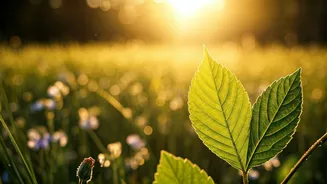 Breathwork Fits Where Long Workouts Don’t