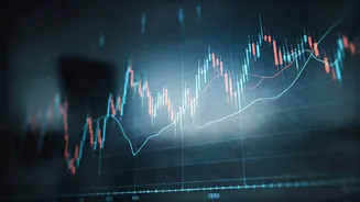 Navigating the Indian Stock Market: Trends and Insights