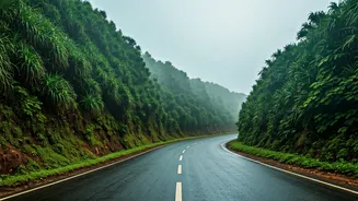 Monsoon Gives Konkan Road Trips A Soft Glow