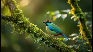 Quiet-Hobby Holidays Put Birdwatching Ahead of Rushing Between Attractions