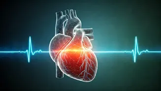 Unlock Heart Health: Your 5-Minute Weekly Guide to Understanding Cholesterol