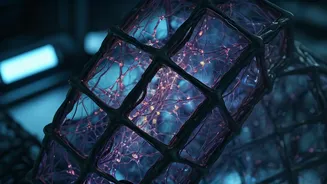 Living Cells Powering AI: The Dawn of Biological Neural Networks
