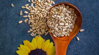 Inside Sunflower Seeds At Breakfast: What Sunflower Seeds Contribute Nutritionally