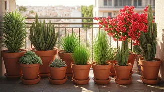 Your Hot Balcony Needs Tough, Pretty Plants