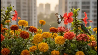 Native Blooms Can Turn A Decorative Balcony Into A Tiny Wildlife Stop