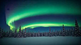 2026's Aurora Forecast: Skies Aglow with Solar Storms!