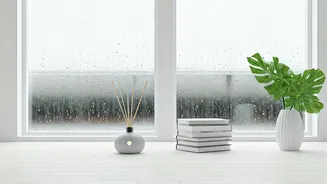 Monsoon Home Freshness Is A Lifestyle Hack